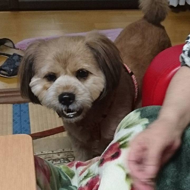 21d38777 01d0 44b0 a297 2ece3c959157