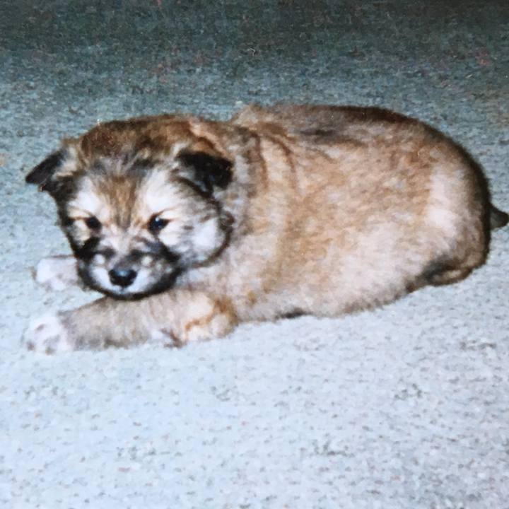 21d3cc91 9796 45c9 bf9f 401f6db819e9