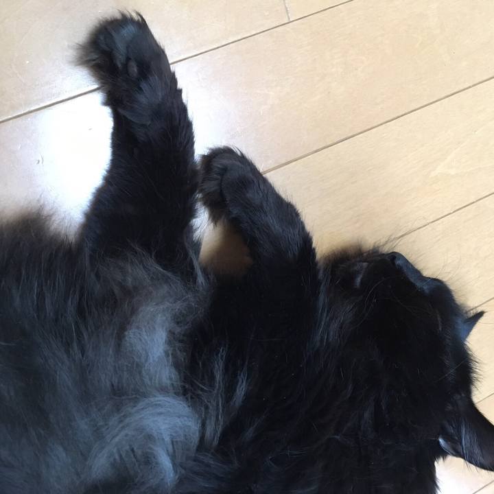 21d406ff 2115 46a1 93ca c6c219f71ed4