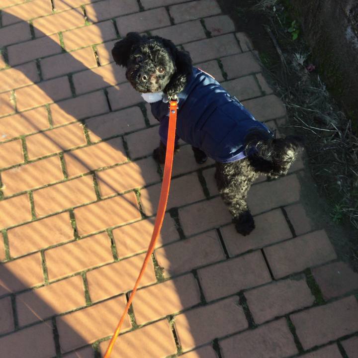 21d47110 f01c 4d36 a490 bc2e0cd8b5fb