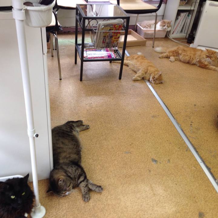 21d49a3d 15e2 4345 a196 2440e33d3edb