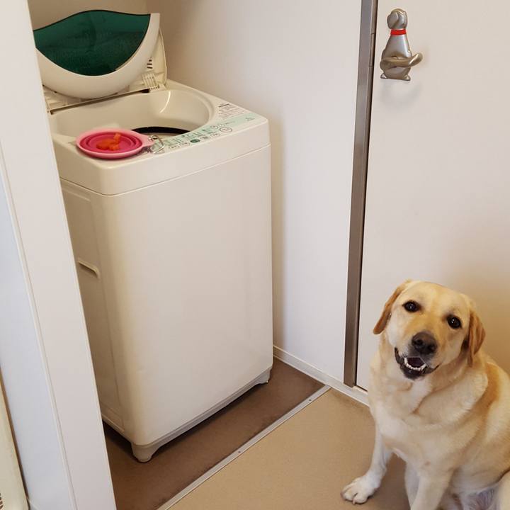 21d4a950 7bf8 4265 9968 fba4510d713a