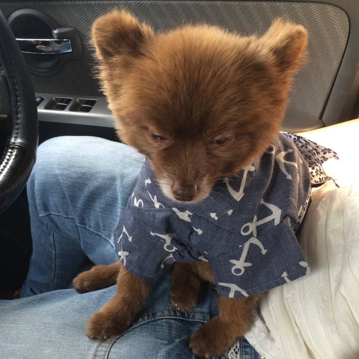 21d4b0d0 47b6 4c03 9488 748a352627a4