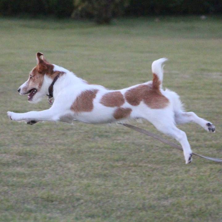 21d515c7 68e3 4d7a aead 338f3240bf18