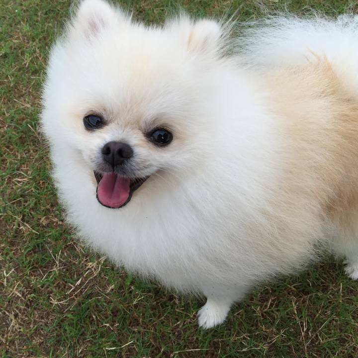 21d603c6 b69f 4810 8f3f a207b856870c