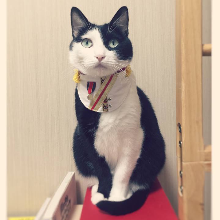 21d6efc1 9184 4ed3 a4cb 86a90e8e8aae