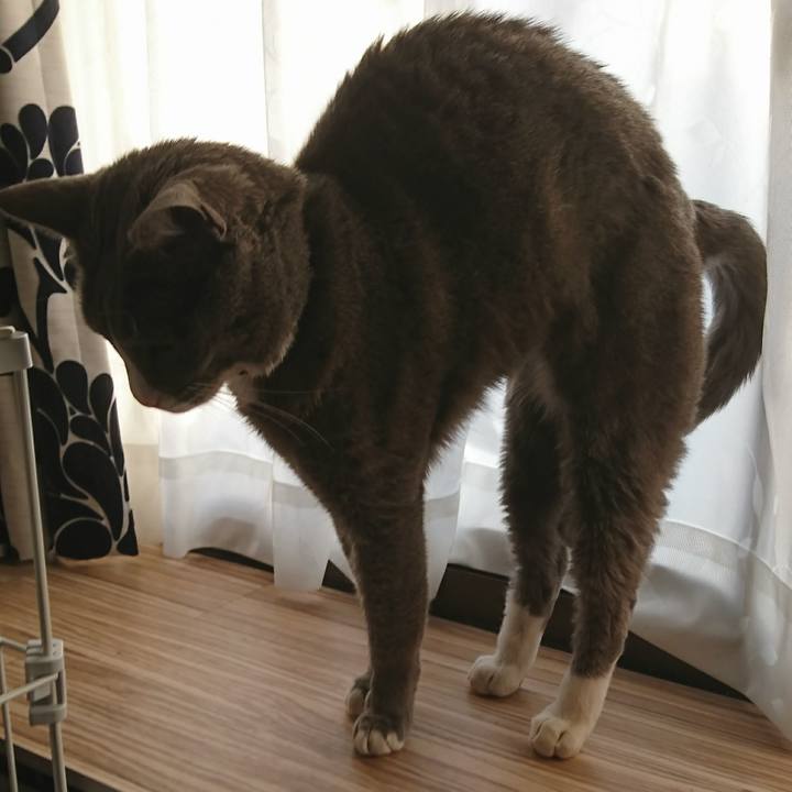 21d8120a 105c 483c 80f4 00bf8299fc99