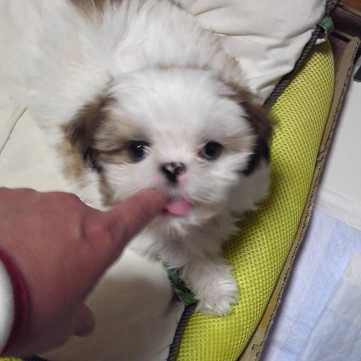 21d88747 3d88 479e ad7a 7ad88817fb83