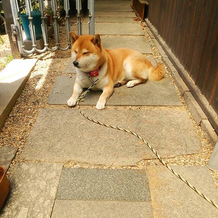 21d8abfa 232d 4c51 bdd1 851a4ce309fc