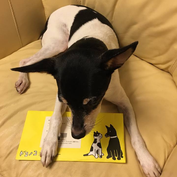 21d8bba5 b312 4186 8d7e 6214793ec8a0