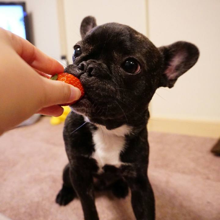 21d9e0ff 97ef 49ff a65a ad3453637cd2