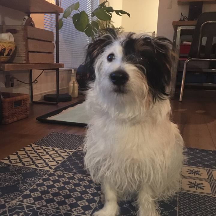 21da6292 e57c 4b74 ab23 6e5c1ce04776