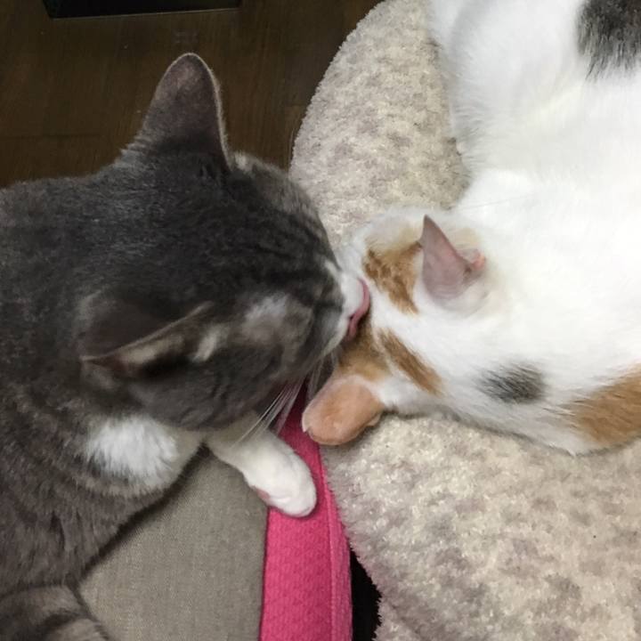 21db5e5c 8e45 4ef6 ad76 1dd1740be206