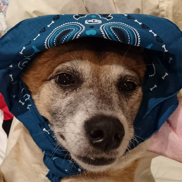 21dbb063 a449 49a9 ae49 ed723d5f781f