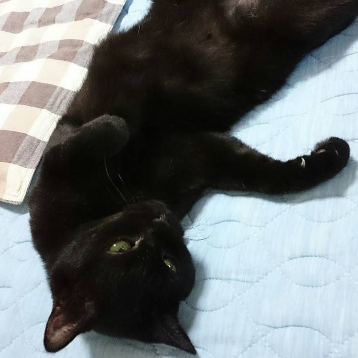 21dec233 9f64 4c4f 8b54 745a8f5cd082