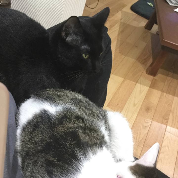 21df2561 ef95 489f 985d e098df3b3ebb