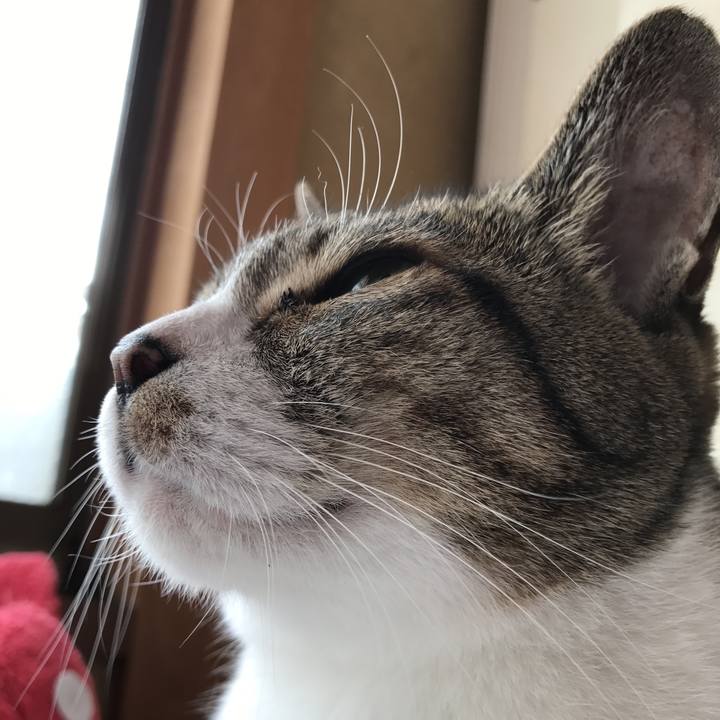 21df2b2b ea39 4163 8253 22f88e523676