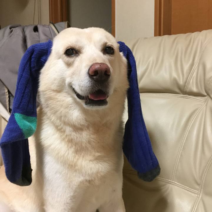 21df414b 9b86 4080 a048 a4cf624e9533