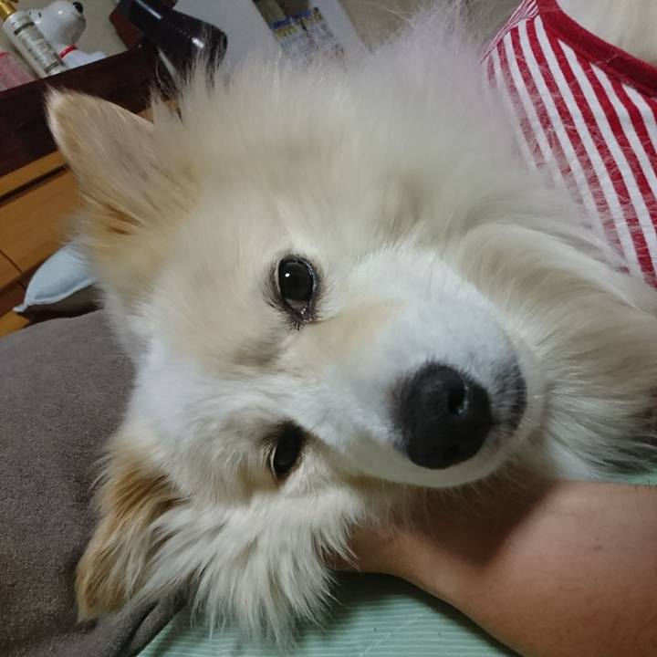 21dfa14b fc13 4066 ac43 63f53f04de9f