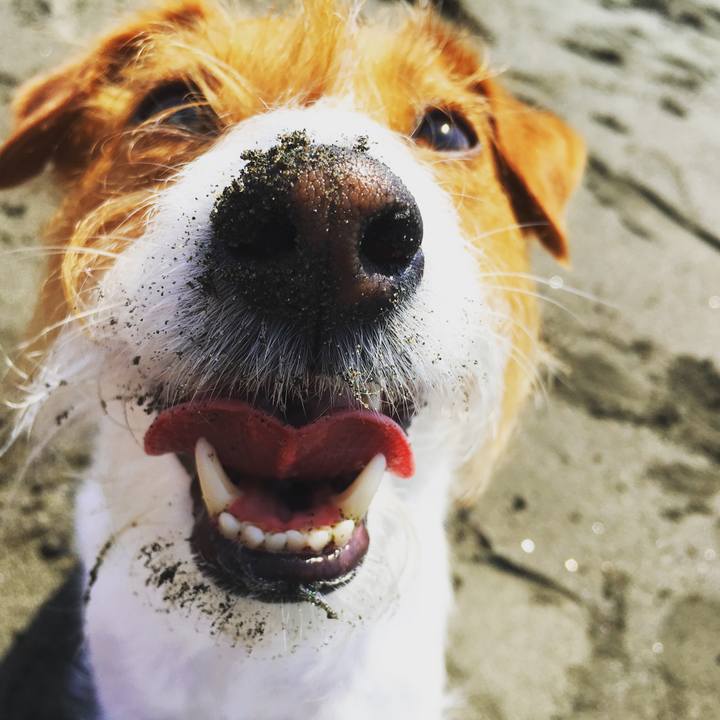 21dfa6ea 7f46 4fa6 a0f0 9c169afe89e3