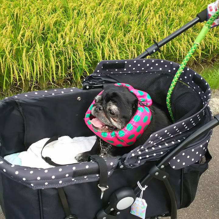 21e0878f 42ce 4e4e ac85 1827d41a7805