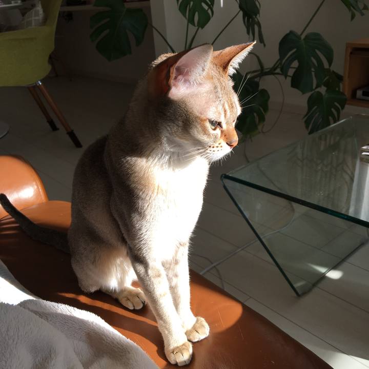 21e0c959 4805 4b2e 973f ca5b0a6b5bf5