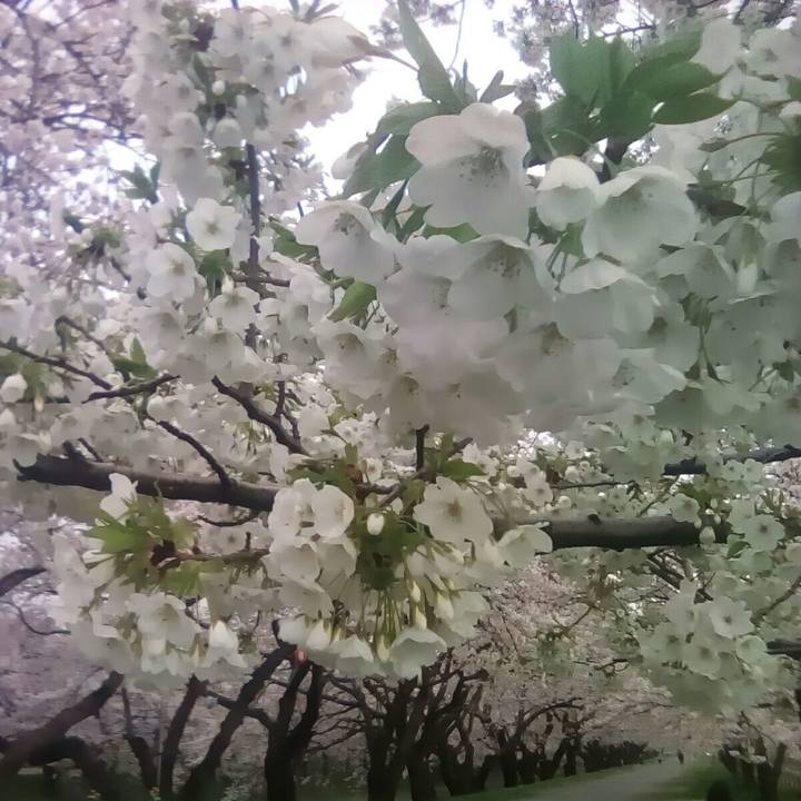 21e0f20e f55e 4aa1 9df2 4e4e9e76c23b