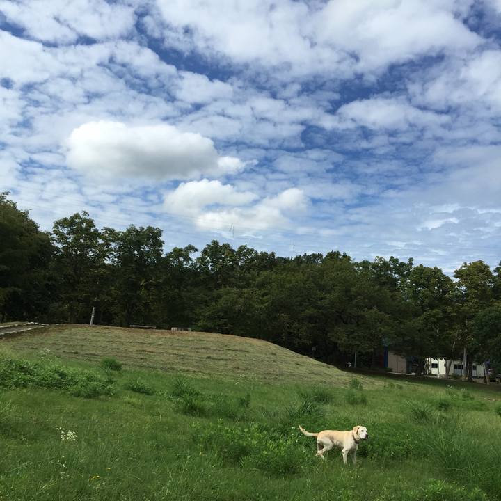 21e123f6 2b4a 4774 99c6 82c9bed993c9