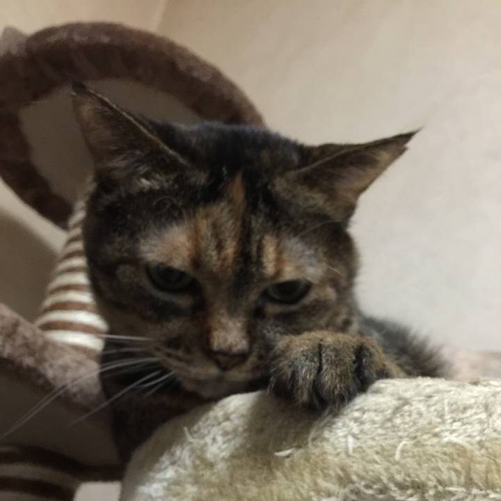 21e1544e bdde 460b 9b94 ee270b50c80d