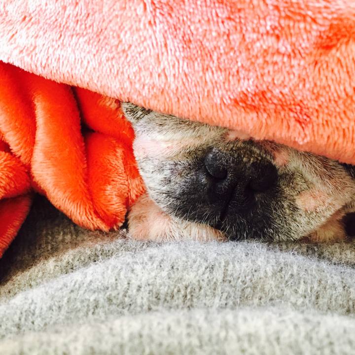 21e2bd20 2840 4fc1 bf31 957800cdff77