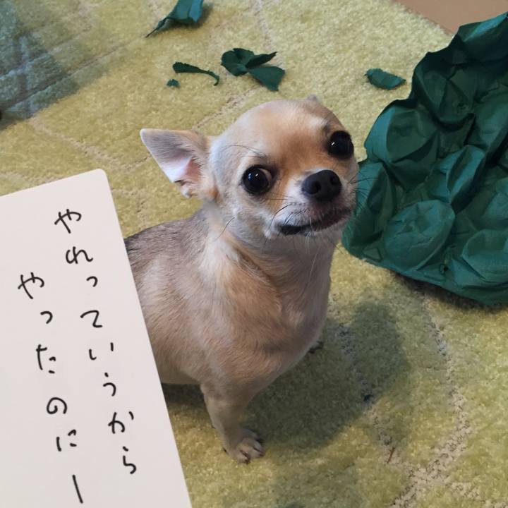 21e3106c a4d2 435e 80cf a08e92a24b04