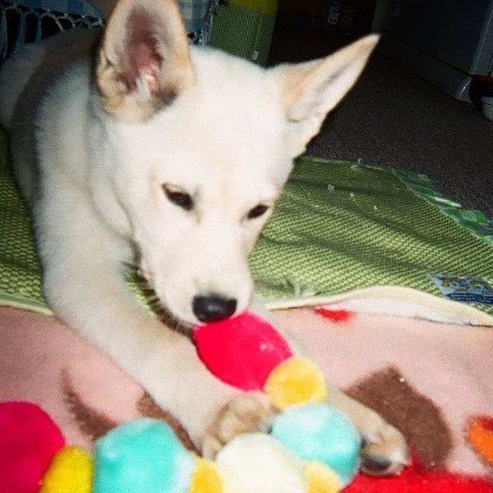 21e313fc 7899 4371 8c9d 22a5f01a4929