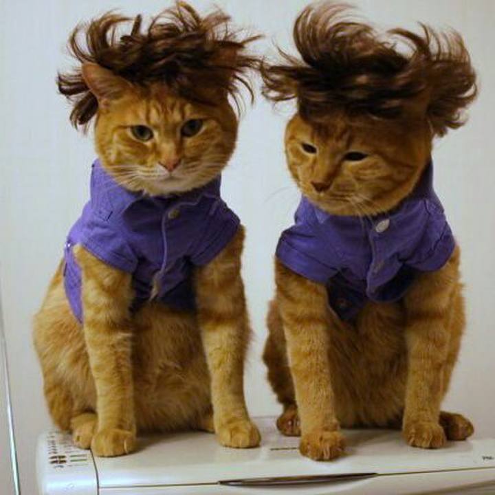 21e31d24 8a04 4fd2 85f6 fc1e67818b52