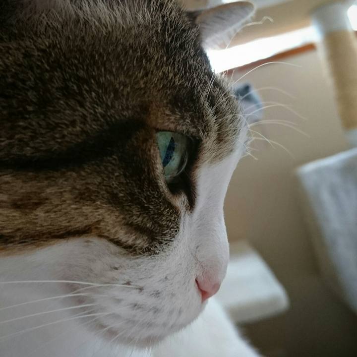 21e32543 805e 43c1 b713 8119e6e9bd67