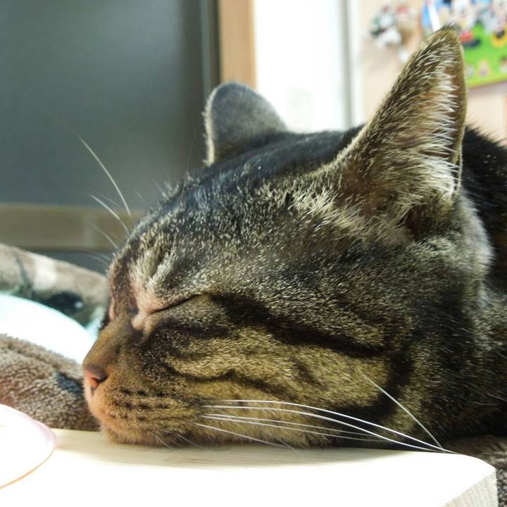 21e40e84 a9e4 4e3e 8656 fb247593cebf