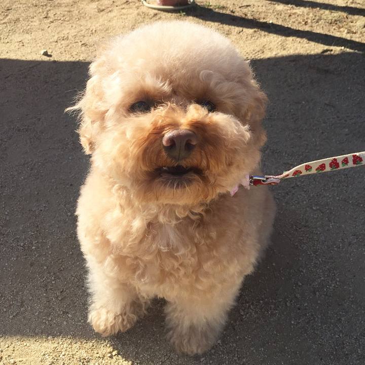 21e4153a 34c9 41d2 8b66 a60ae3f5c2df