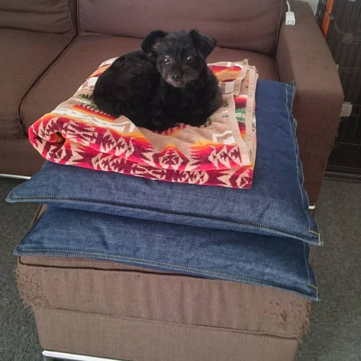 21e4202c 58f6 42d6 b1a3 2a6c8bc0e803