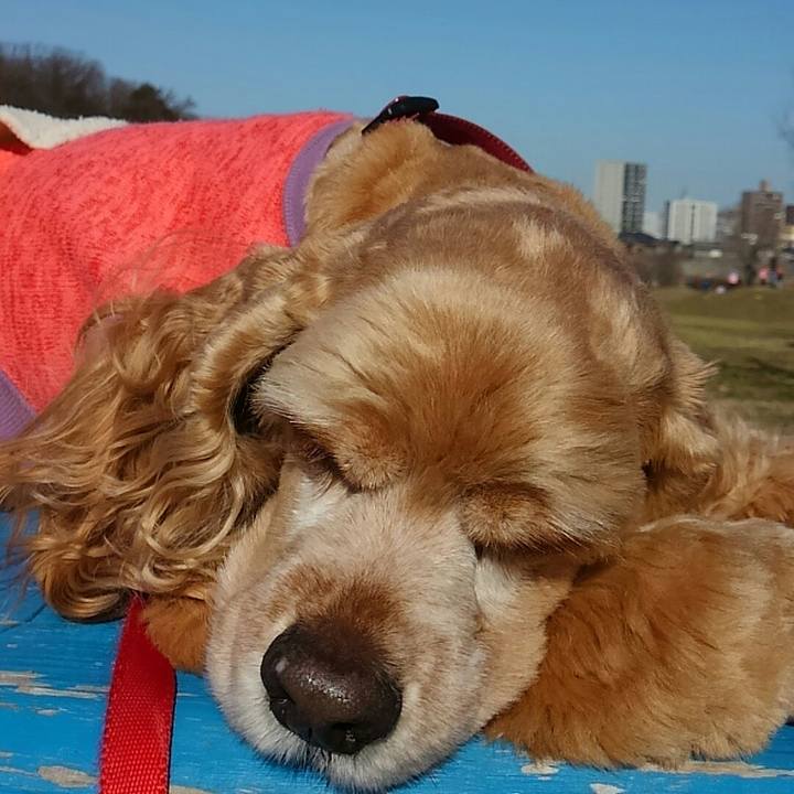 21e4693a fe92 4edd bc1e e0b8297aa992