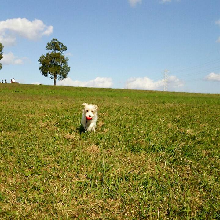 21e51c1a 39b6 4f27 8b37 2ef5f3957296