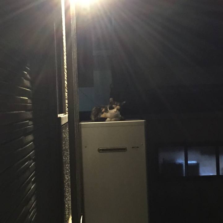 21e56309 2a71 4a97 851c ebc629f6a603