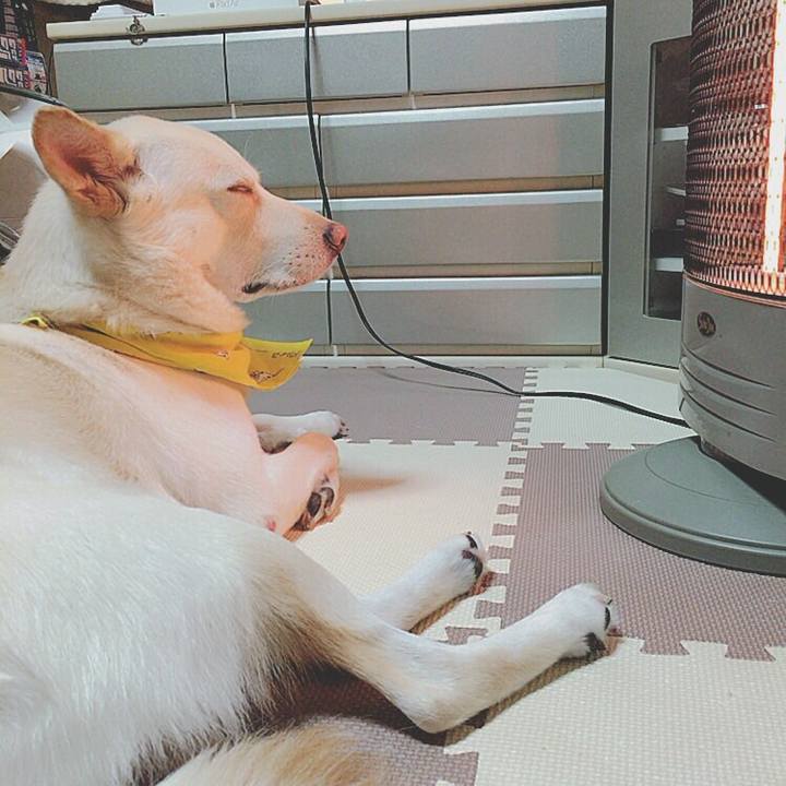 21e57b87 33a7 44ab 807f d82f2f3fc623