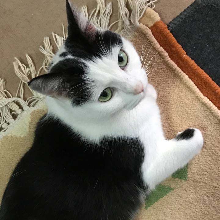 21e5cc69 00dd 4262 ab2f eb886eb7857d