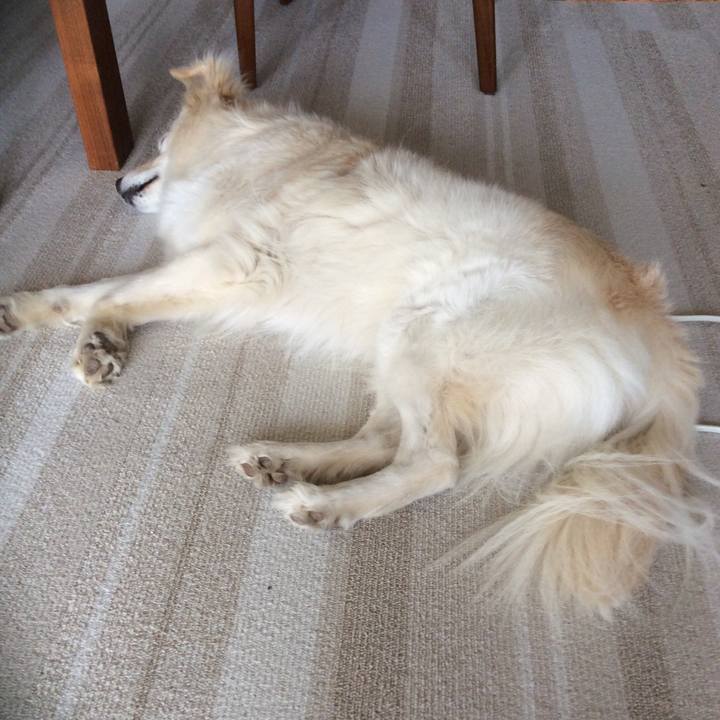 21e5d6ac 064a 434d 8733 77ae8ca3e391