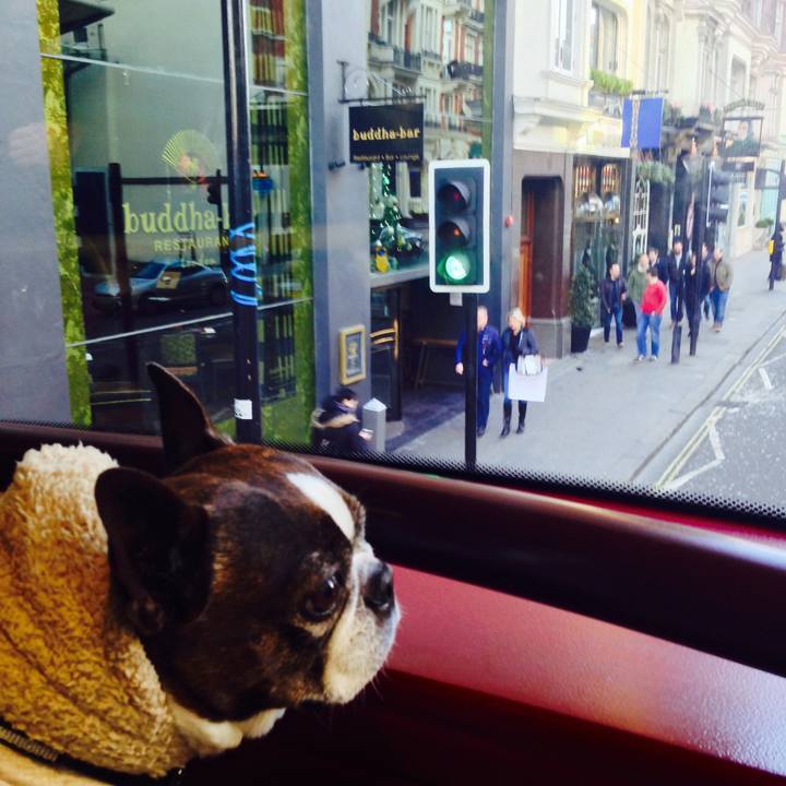 21e5f4d9 fc0e 4795 a3f8 fc2697db74ad