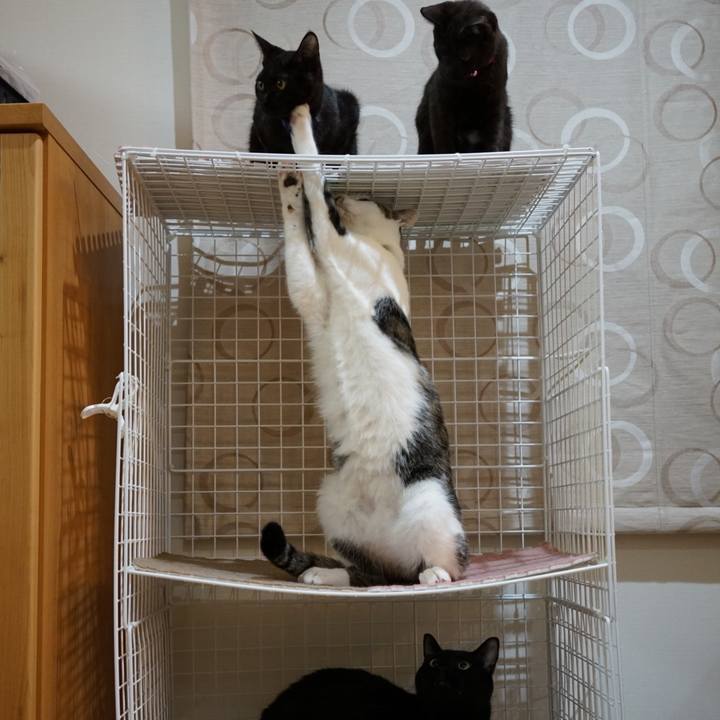 21e6123f 928d 4be1 bcbf 6bab614e130a