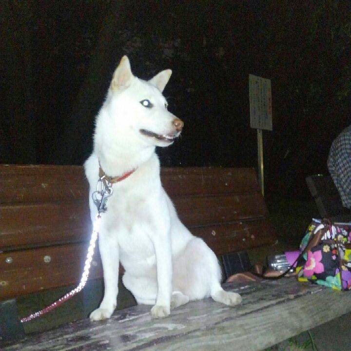 21e627de d013 49ef 8864 7863a84e1935