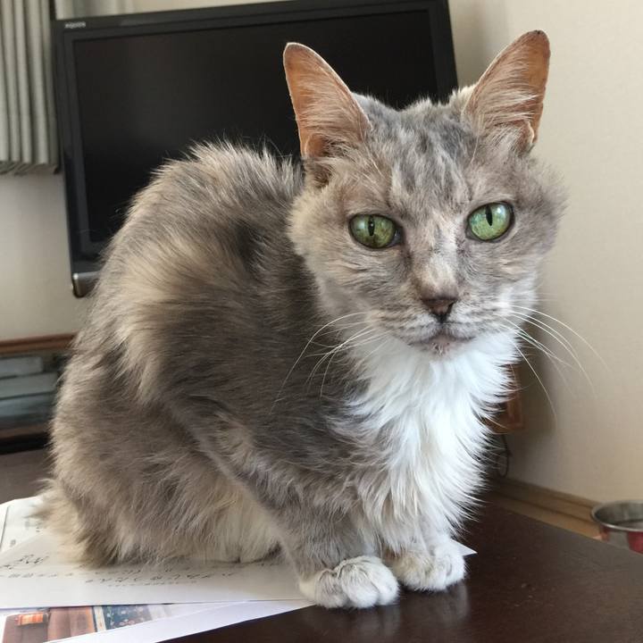 21e68dcf 19a1 49e2 813d 105cc51ec241