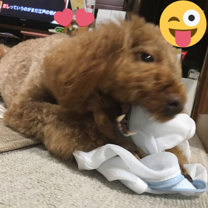 21e6986f 0d94 4b4a 955b affb04fb4c65