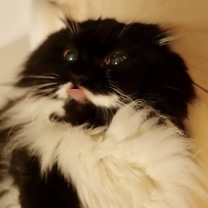 21e6c0c6 f18e 4d88 b0f8 47e9252896fb