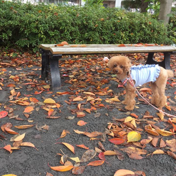 21e6e2a2 a4b1 47f1 b1f6 c950ddd6bd1d